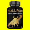 BULLRUN - obrazek 3