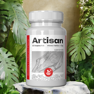 Artisan