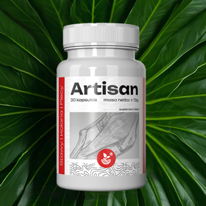 Artisan - obrazek 2