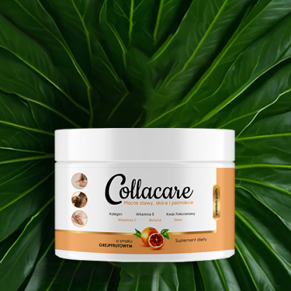 Collacare - obrazek 4
