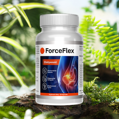 ForceFlex - obrazek 4