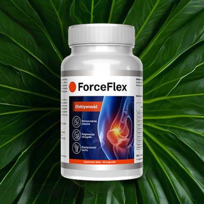 ForceFlex - obrazek 2