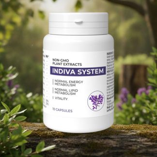 INDIVA SYSTEM